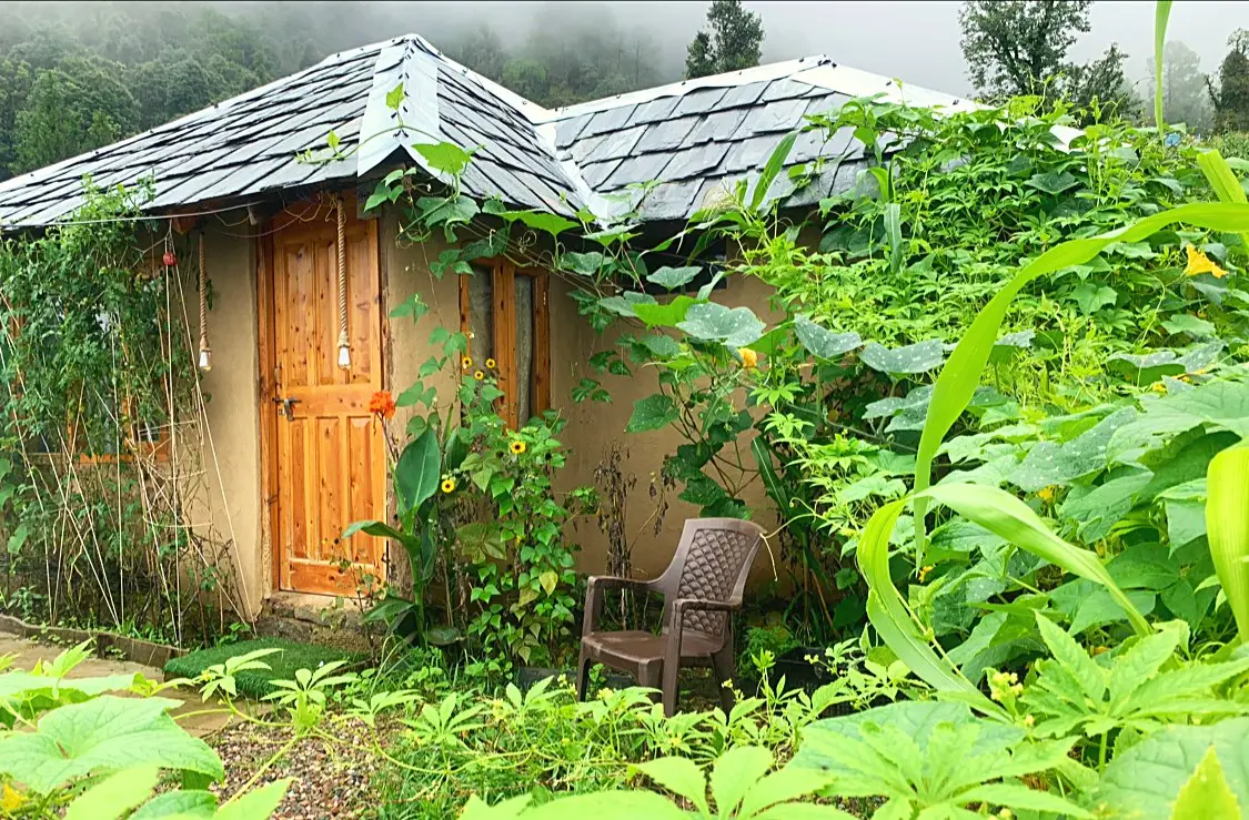 A slate-roofed cottage with a wooden door, among big green garden leaves