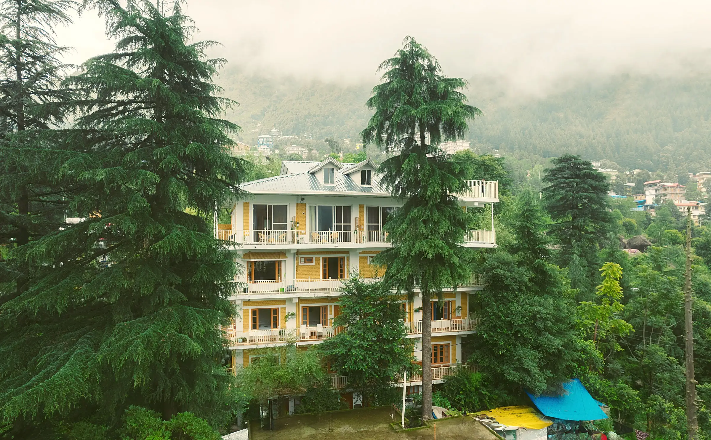 The building seen through conifers, with mist on the hill behind