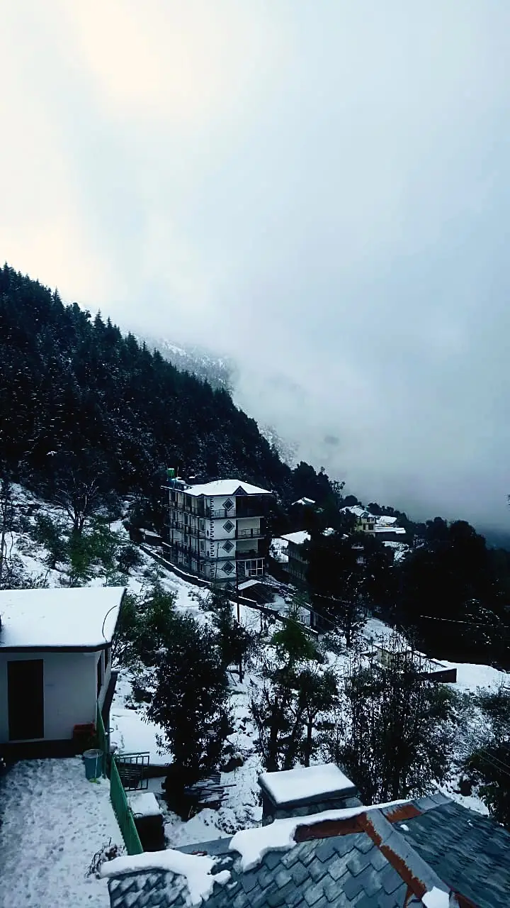 Snow on the roofs and the pine slope below, under low cloud