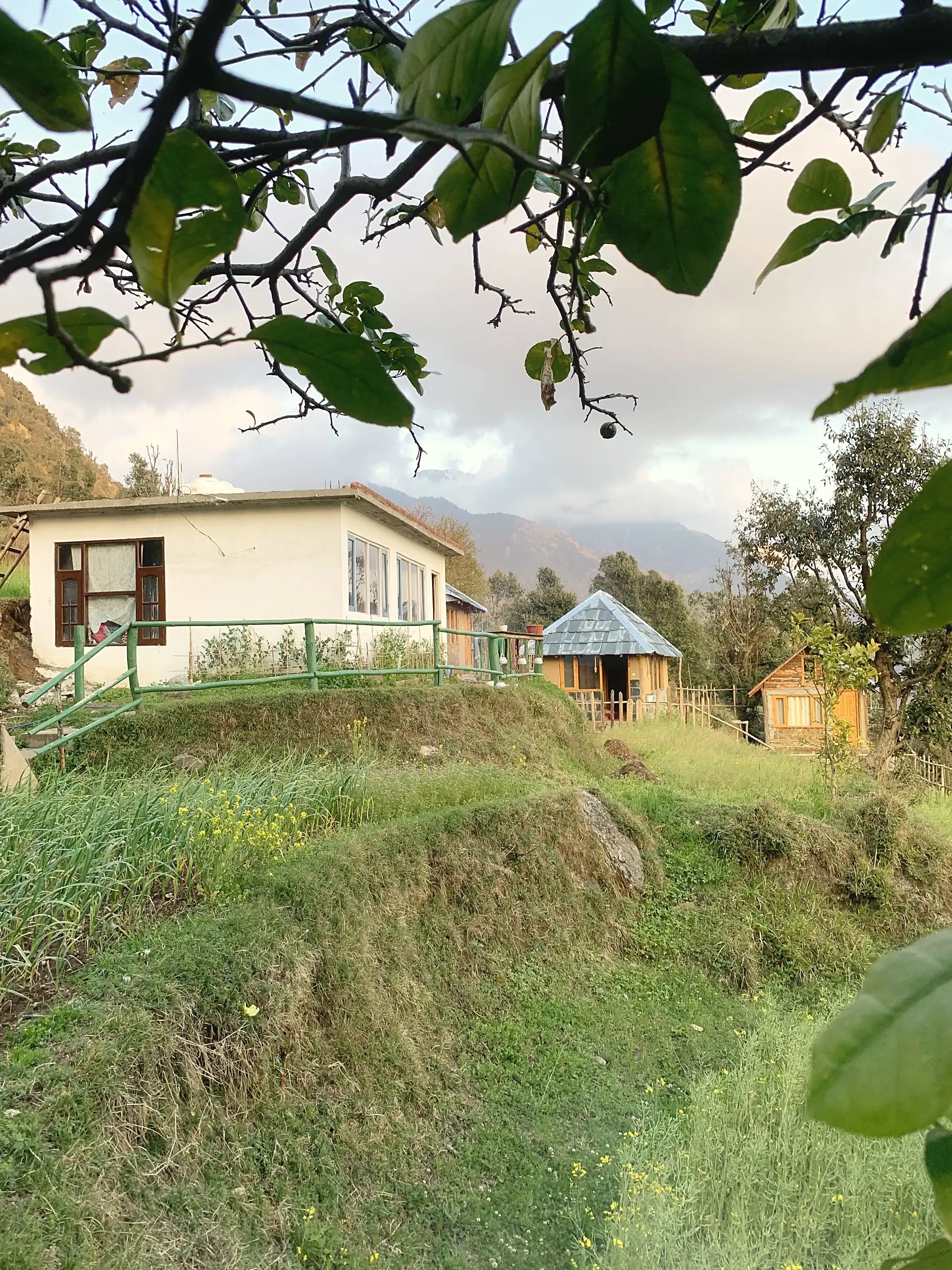 A white house with a green railing and wooden cabins on a grassy hillside