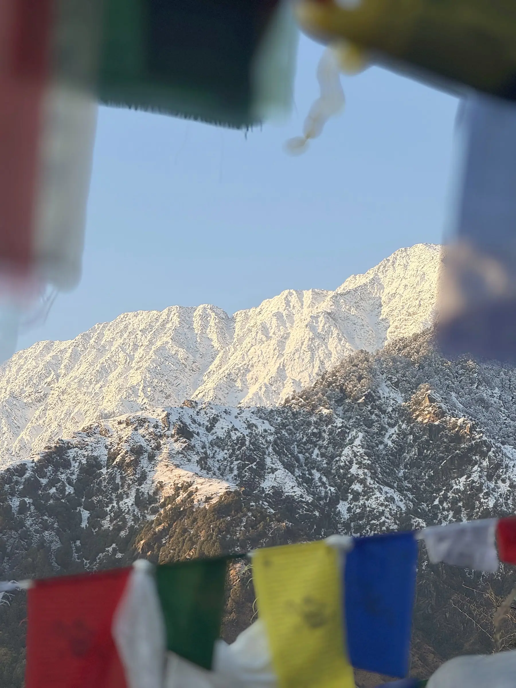 The Dhauladhar under snow, seen past a line of prayer flags