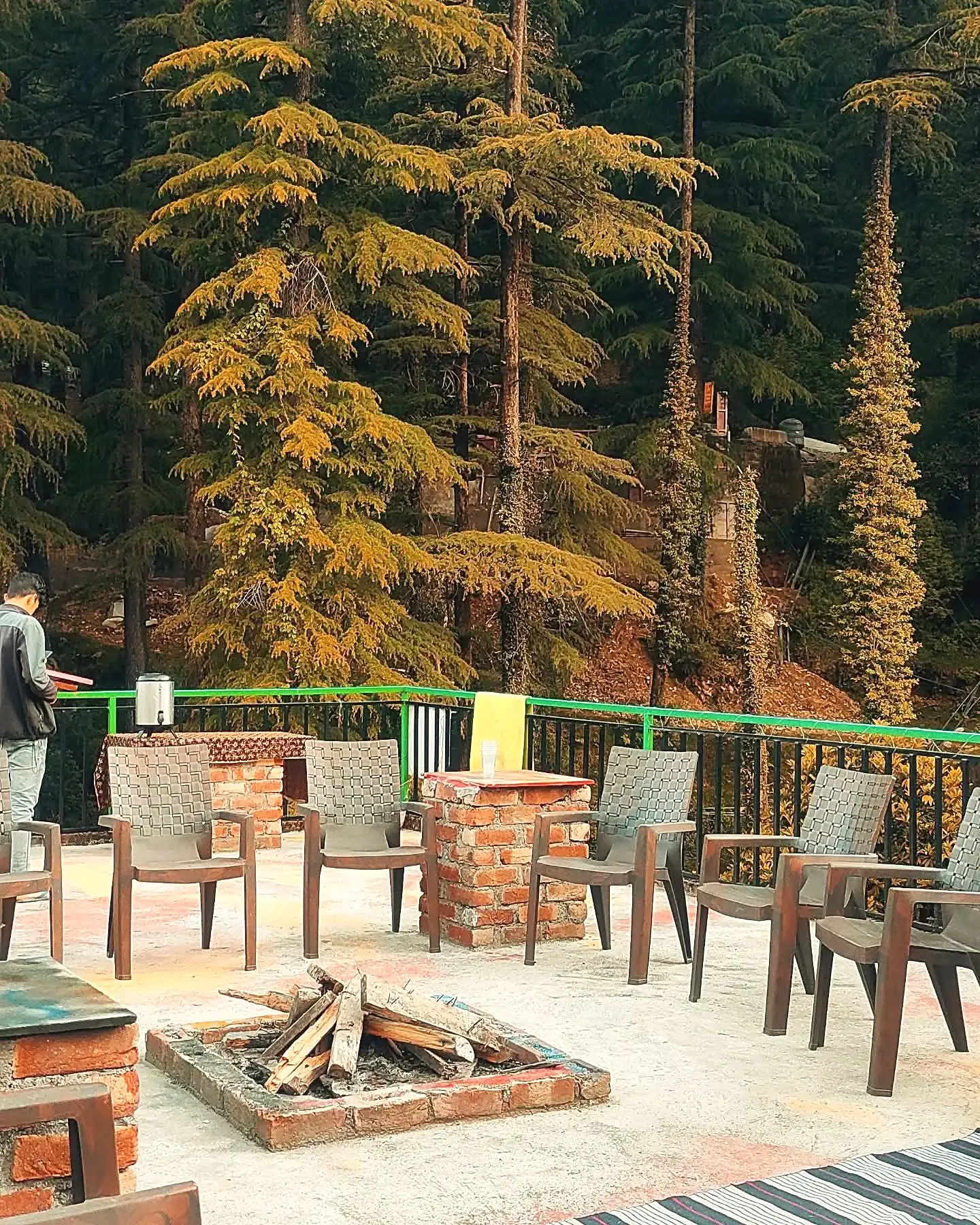 A brick fire pit and chairs on a terrace below tall conifers