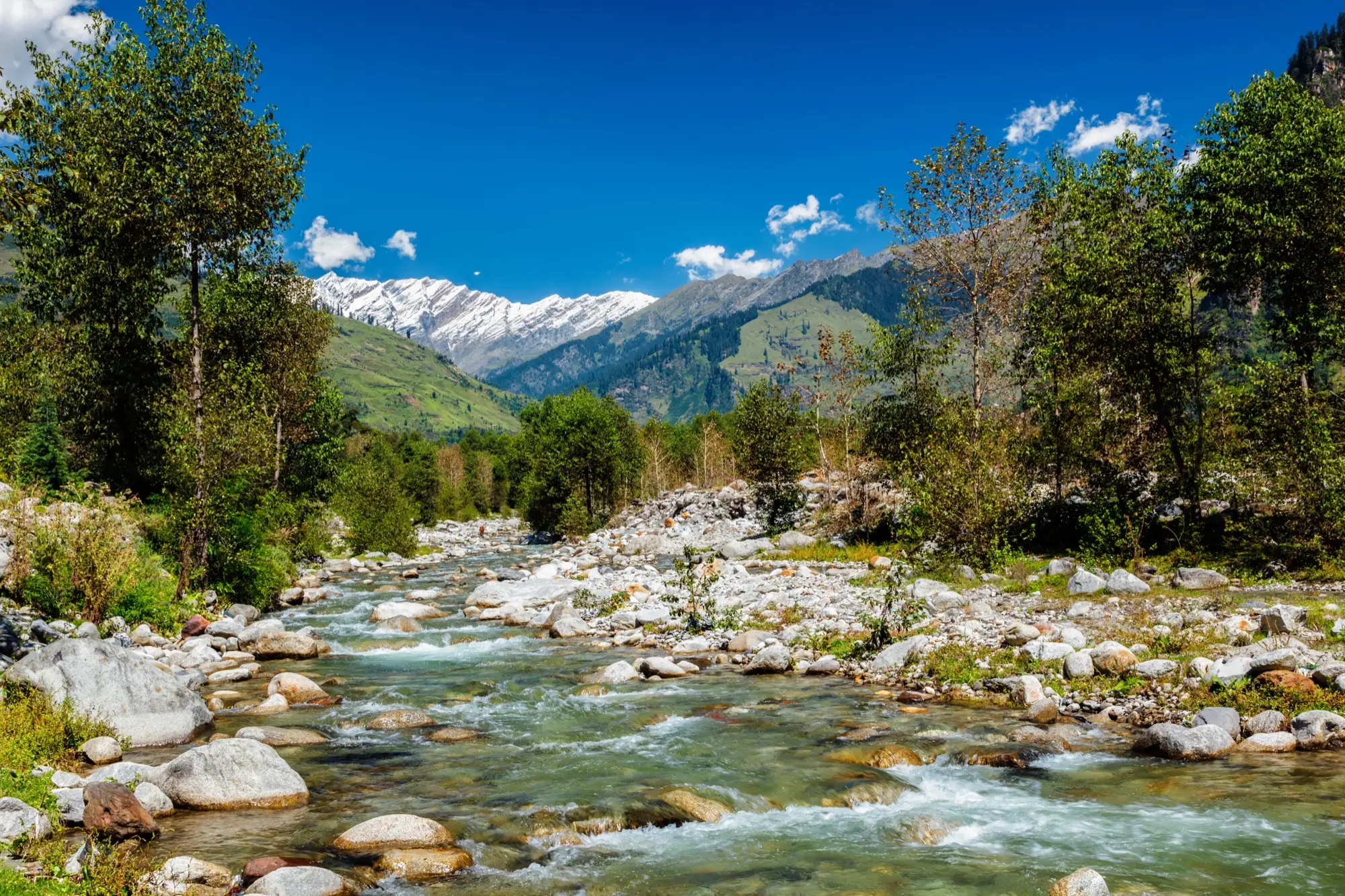 The Beas river in the Kullu valley, with forest and snow peaks upstream