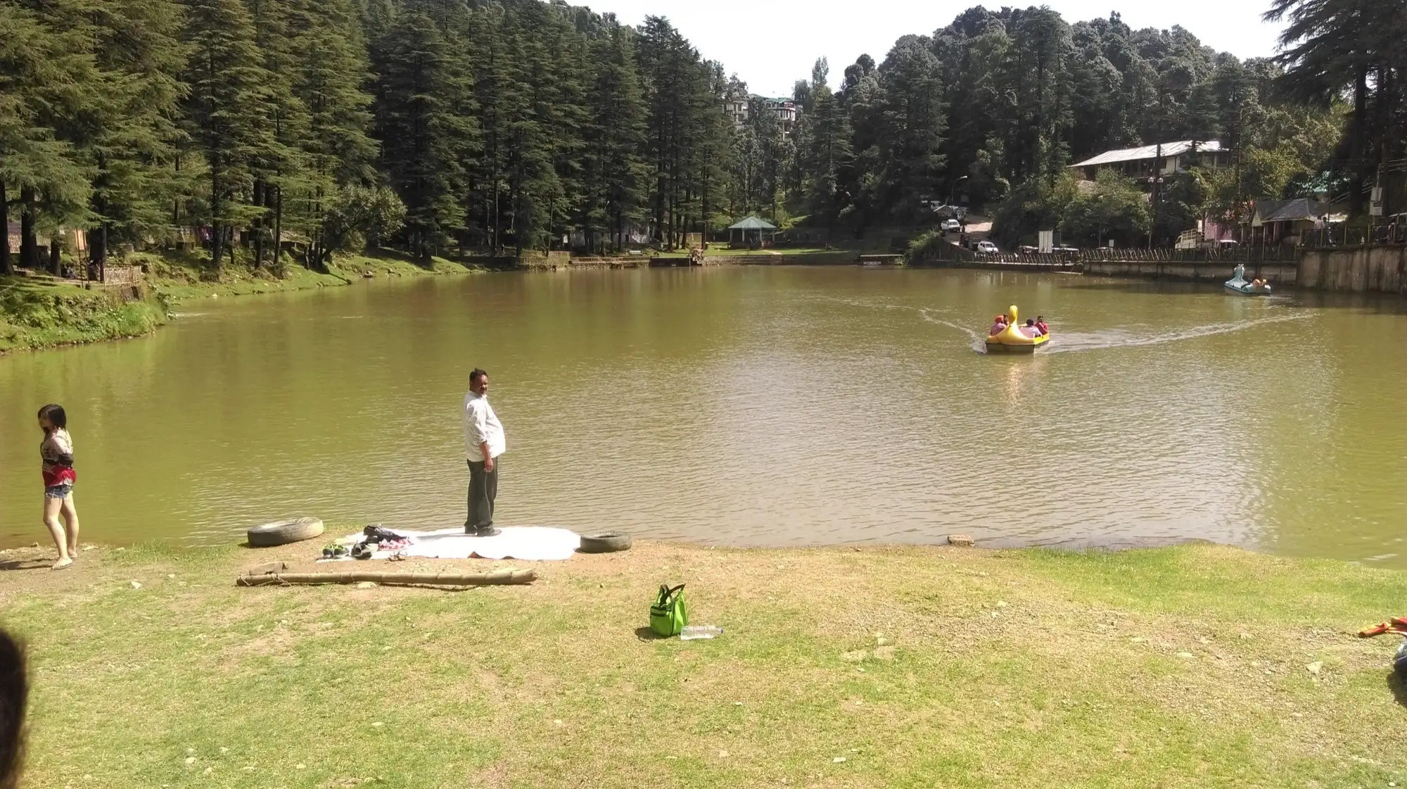 Dal Lake near Naddi, a small lake ringed by deodar trees