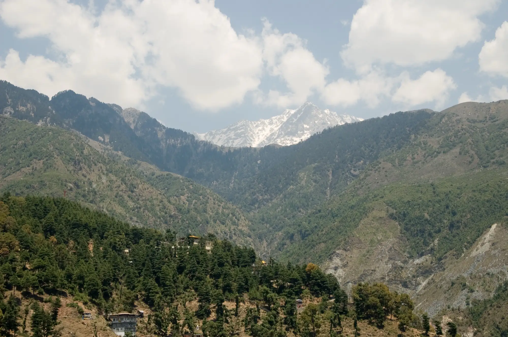 Snow on the Dhauladhar range seen from McLeod Ganj