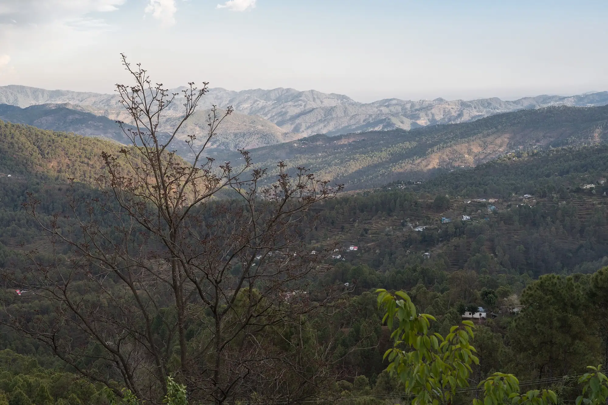 Pine slopes and houses on the Kasar Devi hillside under cloud