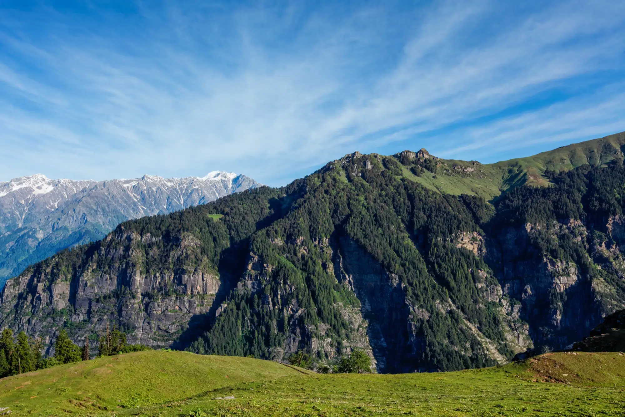 A wide green ridge in the Kullu valley in spring, with blue hills beyond