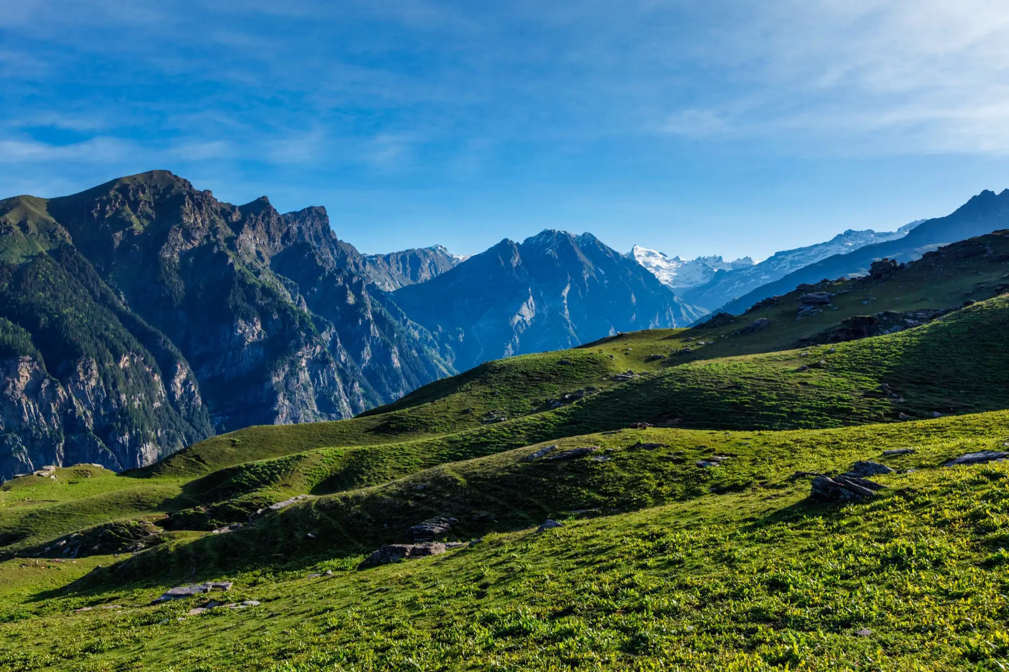 Green slopes and distant snow peaks in the Kullu valley in spring