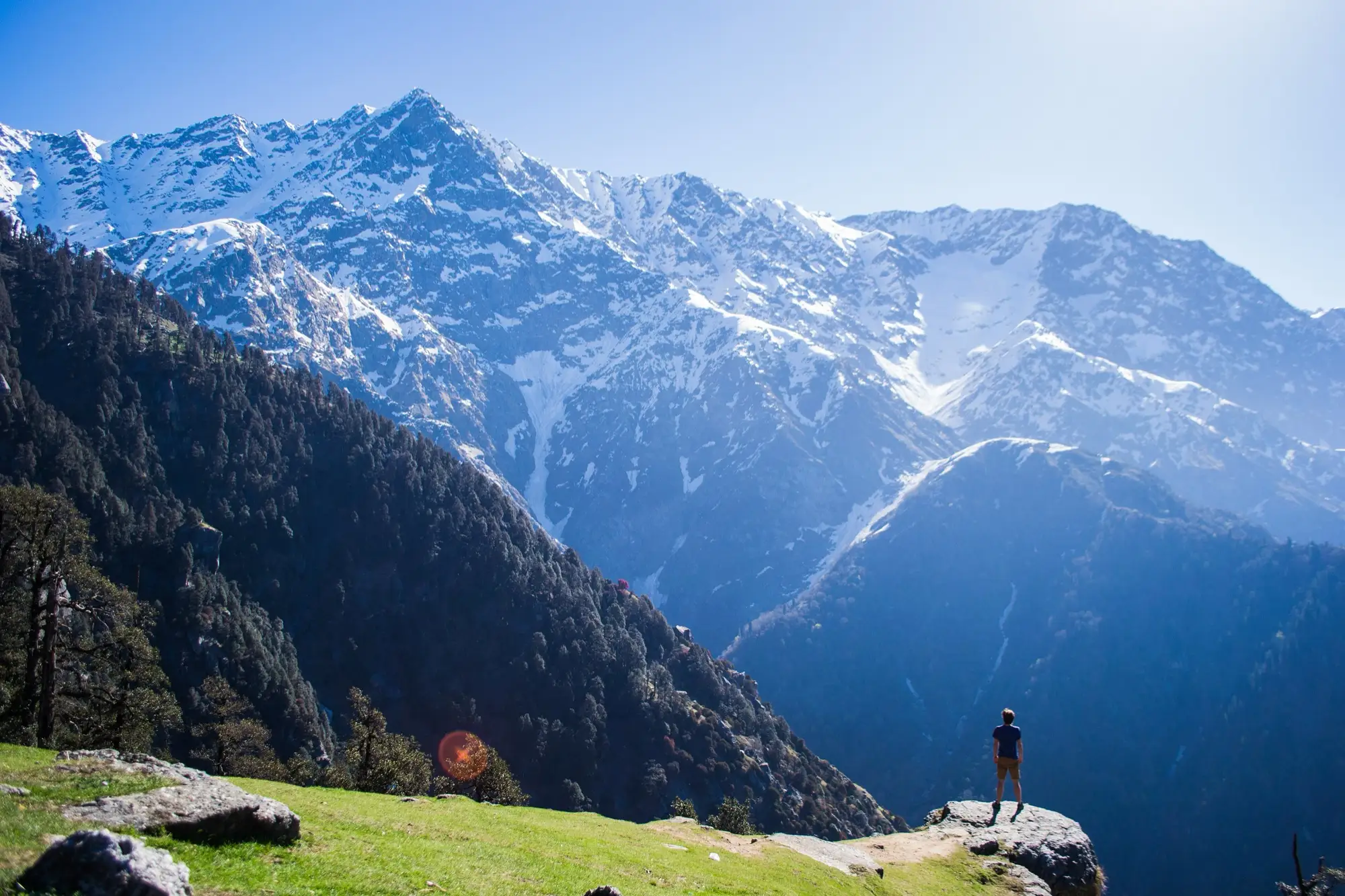 A walker on a grassy ridge above Dharamkot, looking at the snow on Moon Peak