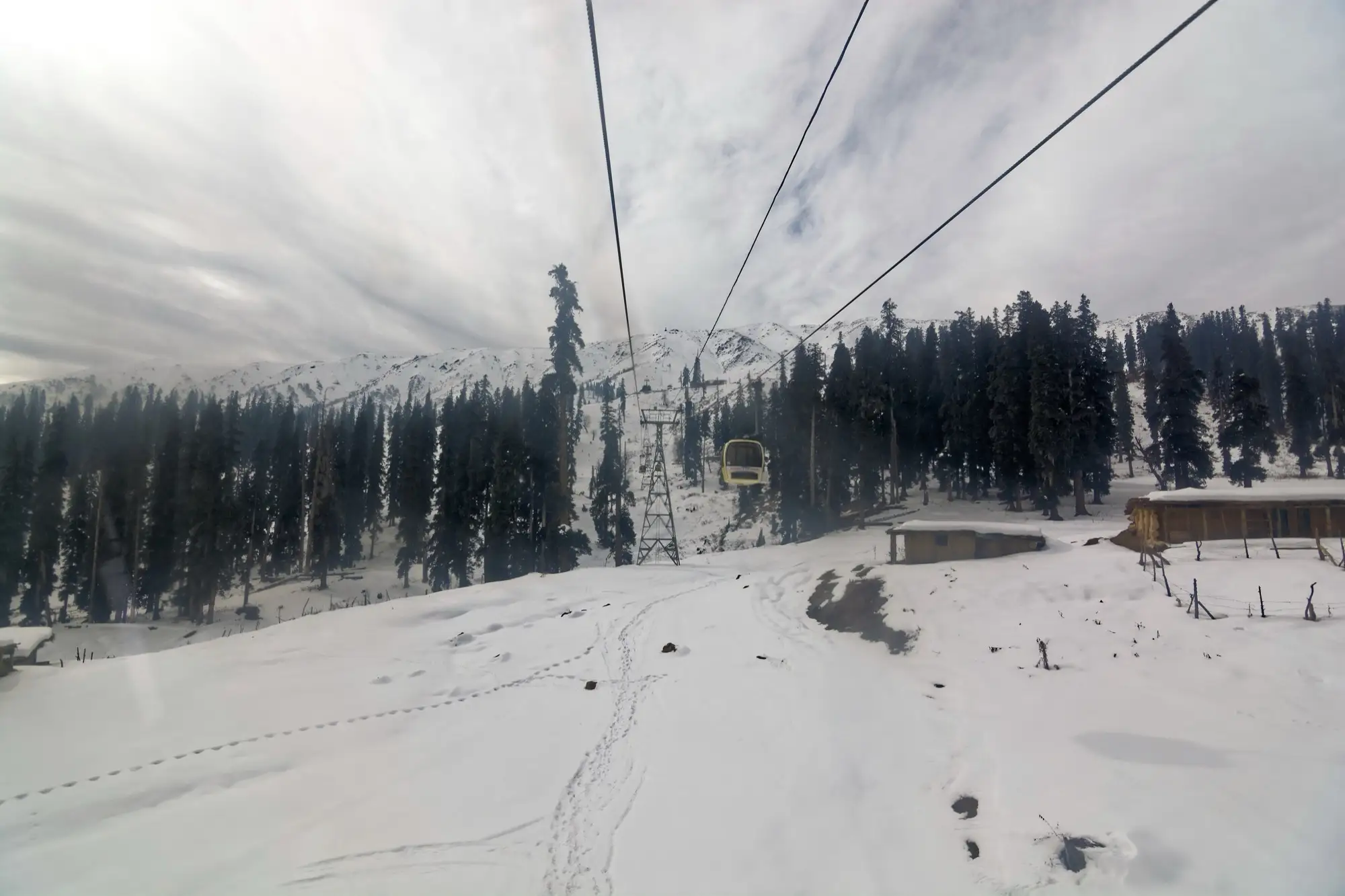 A Gulmarg gondola cabin over snow, with pine forest and a ridge behind