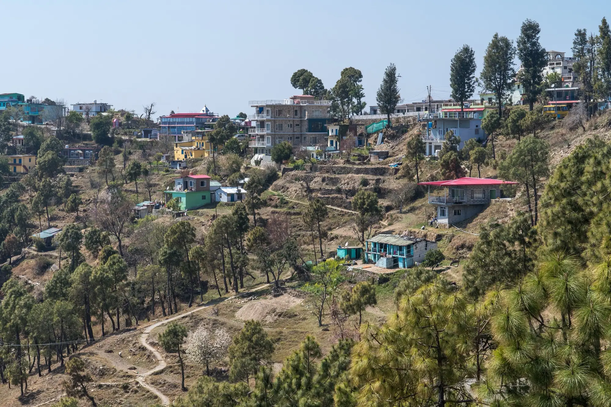 Houses and footpaths on the slope at Kasar Devi village among pines